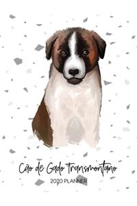 Cão De Gado Transmontano 2020 Planner