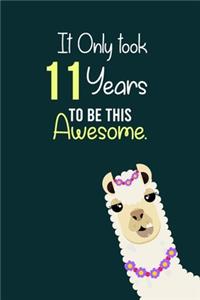 It Only Took 11 Years to be this Awesome