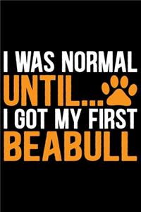 I Was Normal Until I Got My First Beabull