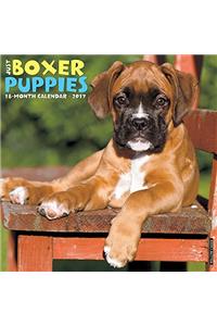 Just Boxer Puppies 2017 Wall Calendar