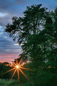 Morning Has Broken Journal