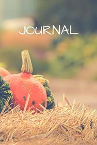 Journal