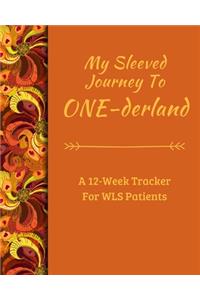 The Sleeved Journey To ONE-derland