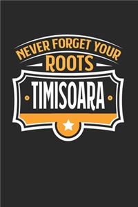 Timisoara Never Forget your Roots