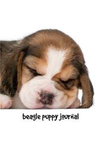 Beagle Puppy Journal