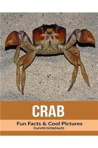Crab: Fun Facts & Cool Pictures
