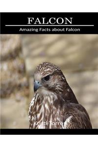 Amazing Facts about Falcon