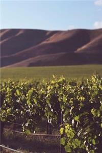 Beautiful Vineyard - Journal