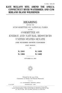 Kate Mullany Site, Amend the Anilca, Connecticut River Watershed, and Cumberland Island Wilderness