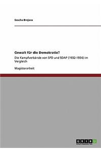 Gewalt für die Demokratie?