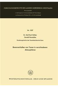 Brennverhalten Von Tonen in Verschiedenen Atmosphären
