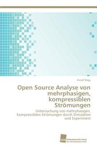 Open Source Analyse von mehrphasigen, kompressiblen Strömungen