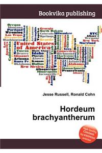 Hordeum Brachyantherum