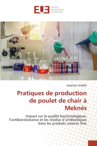 Pratiques de production de poulet de chair à Meknès