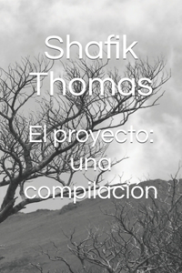 El proyecto