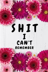 Shit I Can't Remember