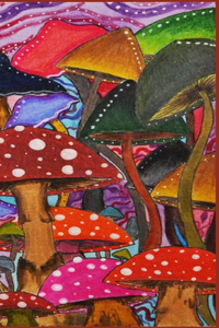 Into the Mushrooms