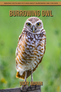 Burrowing Owl
