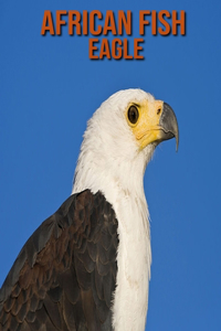 African Fish Eagle