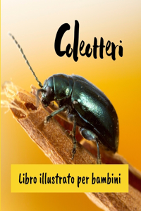 Coleotteri