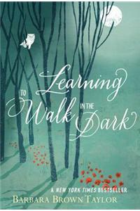 Learning to Walk in the Dark