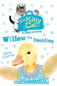 Dr KittyCat is ready to rescue: Willow the Duckling