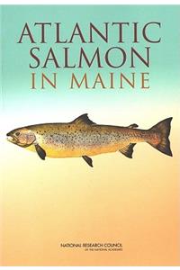 Atlantic Salmon in Maine