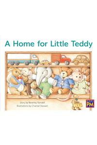 Home for Little Teddy