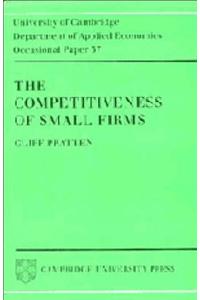 The Competitiveness of Small Firms