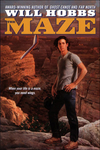 Maze
