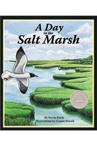 Day in the Salt Marsh