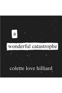 Wonderful Catastrophe