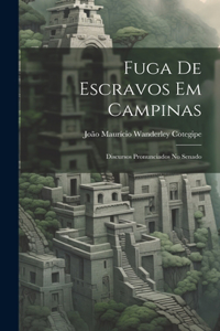 Fuga De Escravos Em Campinas