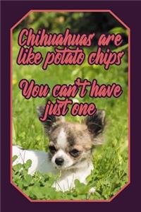 Chihuahuas Are Like Potato Chips You Can't Have Just One