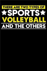 There Are Two Types of Sports Volleyball and the Others