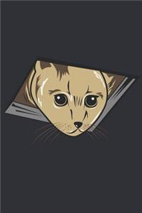 Cats are so cute