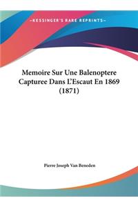 Memoire Sur Une Balenoptere Capturee Dans L'Escaut En 1869 (1871)