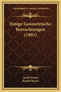 Einige Geometrische Betrachtungen (1901)