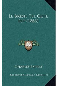 Le Bresil Tel Qu'il Est (1863)