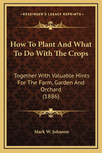 How To Plant And What To Do With The Crops