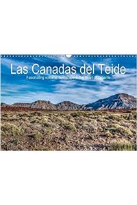 Las Canadas del Teide - Fascinating Volcanic Landscape in the Heart of Tenerife / UK-Version 2017