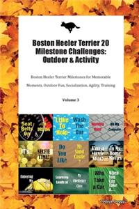 Boston Heeler Terrier 20 Milestone Challenges