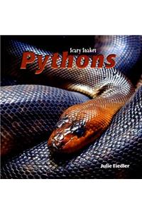 Pythons