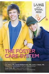 The Foster Care System