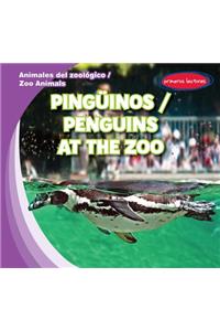 Pingüinos / Penguins at the Zoo