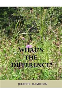What's the Difference?