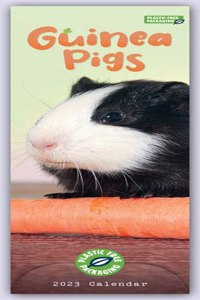 2023 Guinea Pigs Slim Calendar Plastic Free
