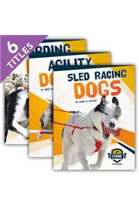 Canine Athletes (Set)