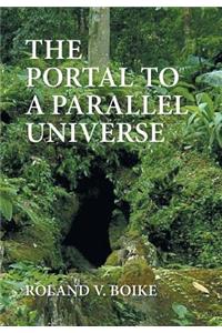 The Portal to a Parallel Universe