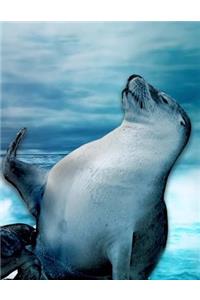 Seals Notebook